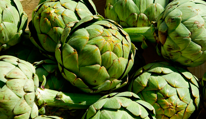 Propiedades de la alcachofa | Alimentos y Salud